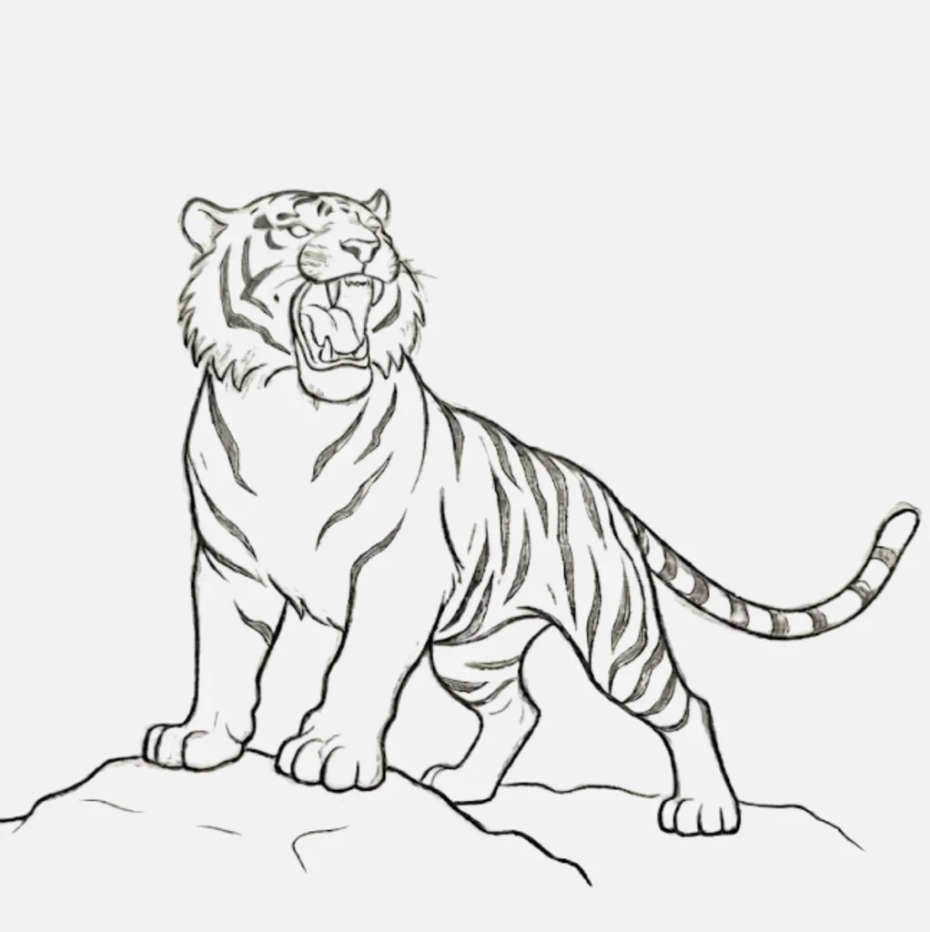 Roaring Tiger Drawing