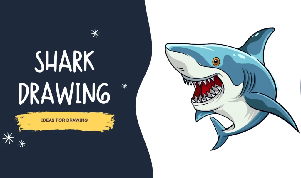 Shark Drawing