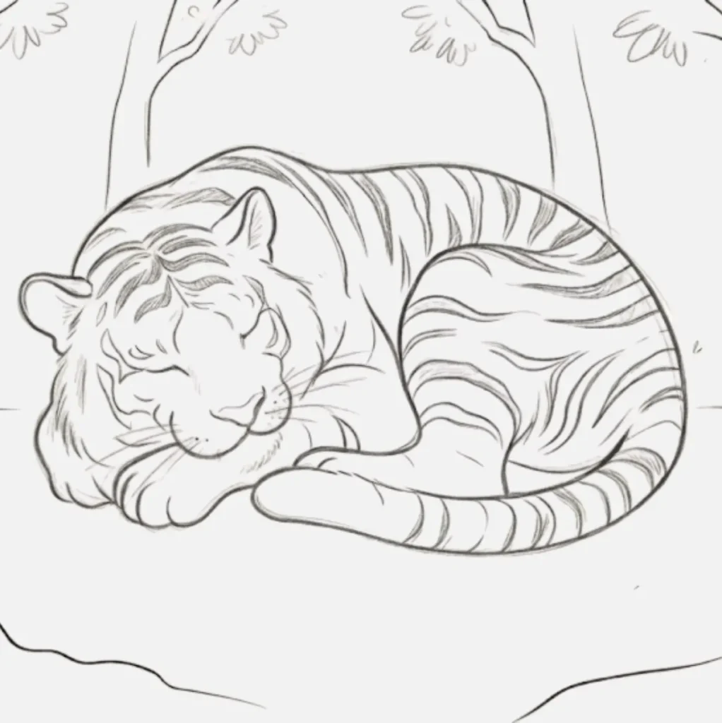 Sleeping Tiger Drawing