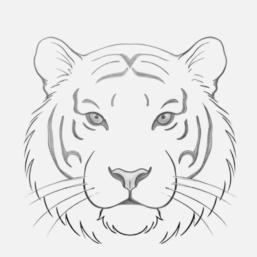 Tiger Face Drawing